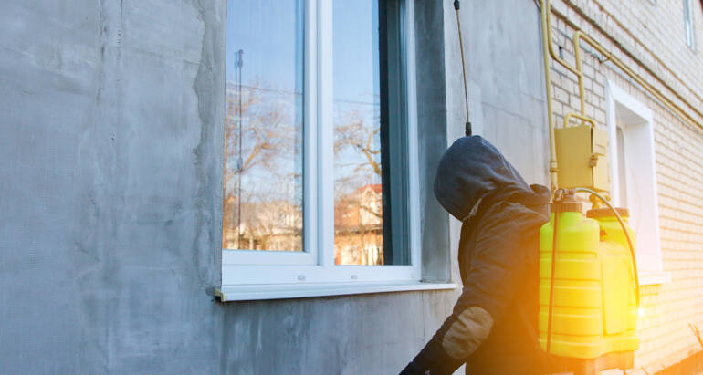 Construction Pest Control