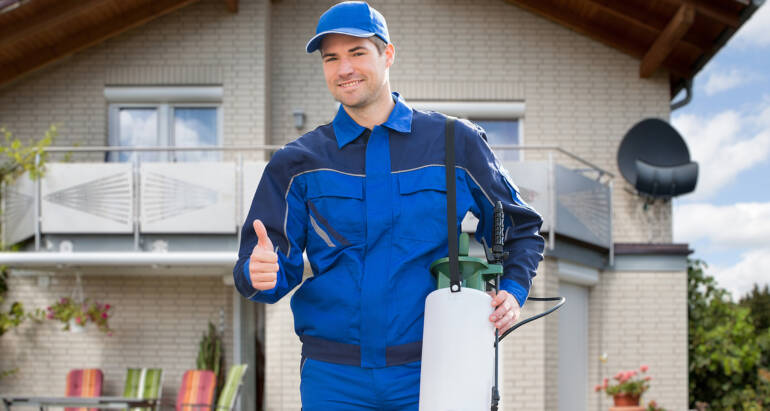 Domestic Pest Control